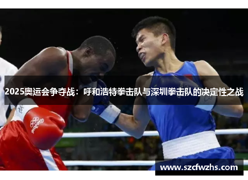 2025奥运会争夺战：呼和浩特拳击队与深圳拳击队的决定性之战