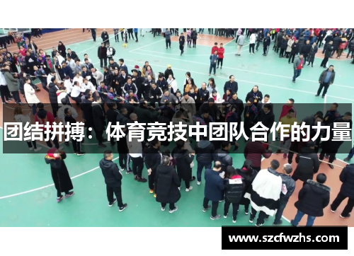 团结拼搏：体育竞技中团队合作的力量