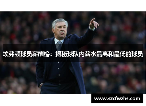 埃弗顿球员薪酬榜：揭秘球队内薪水最高和最低的球员
