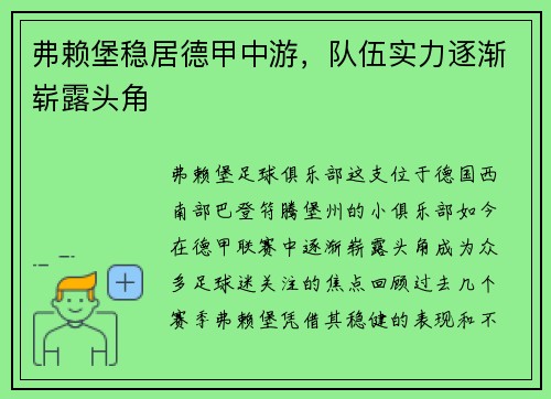 弗赖堡稳居德甲中游，队伍实力逐渐崭露头角